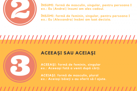 Gramatică română Infographic