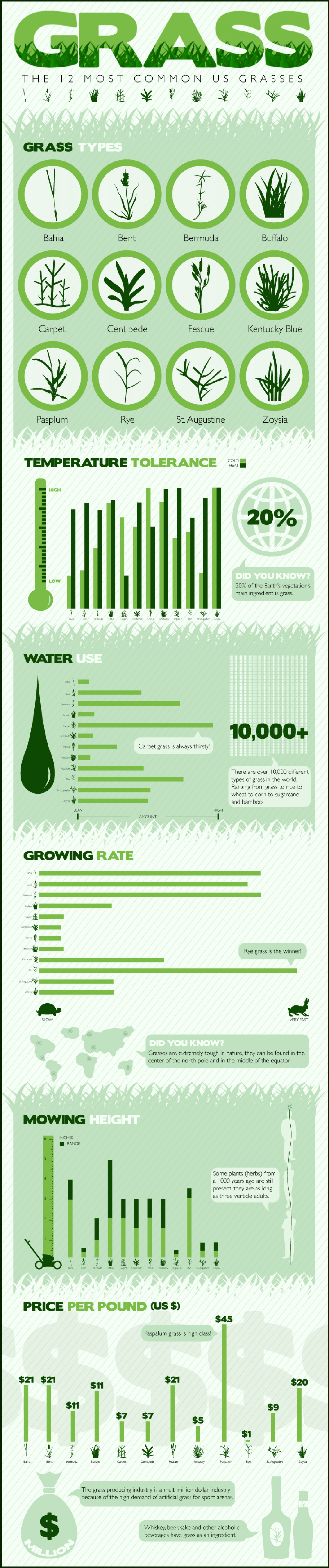 Grass: The 12 Most Common US Grasses  Infographic