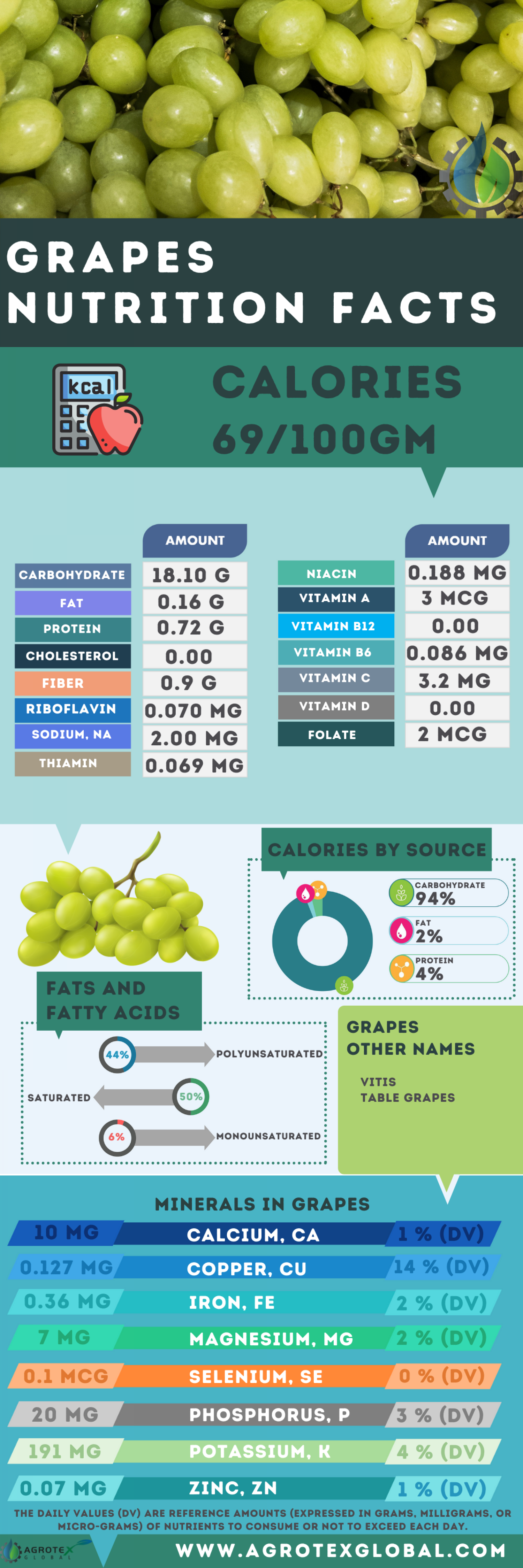 Green Grapes nutrition facts Infographic