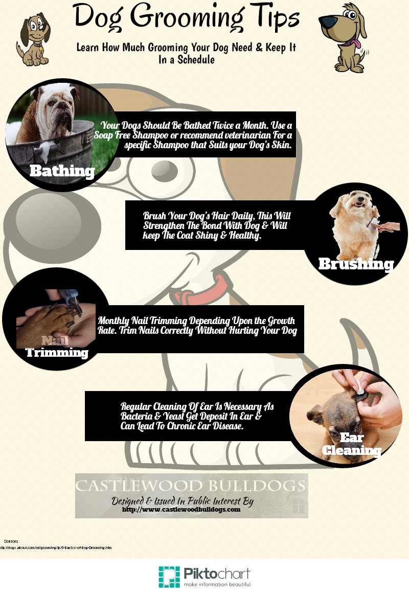 Grooming Tips For Dogs | Visual.ly