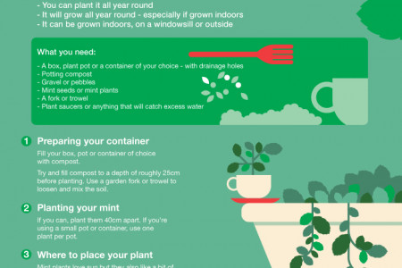 Grow Your Own Mint Infographic