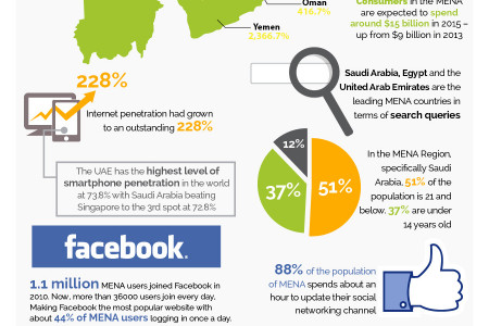 Growing Importance of SEO in the MENA Region Infographic