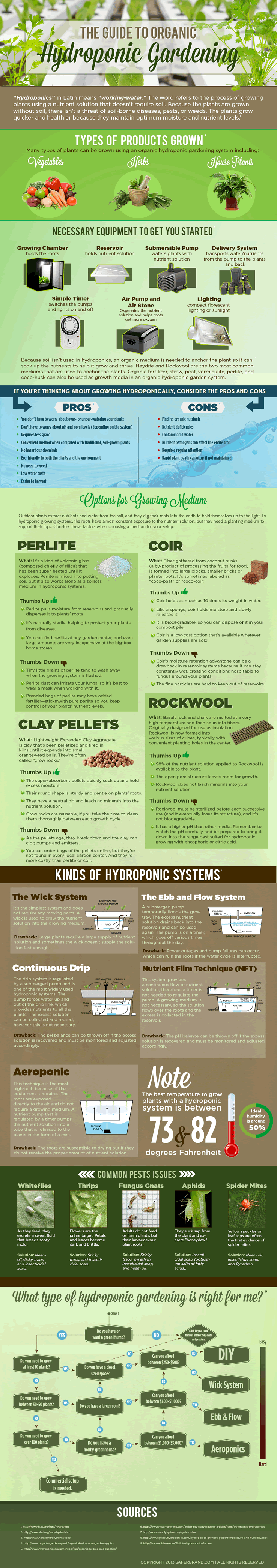 Guide to Hydroponic Gardening Infographic