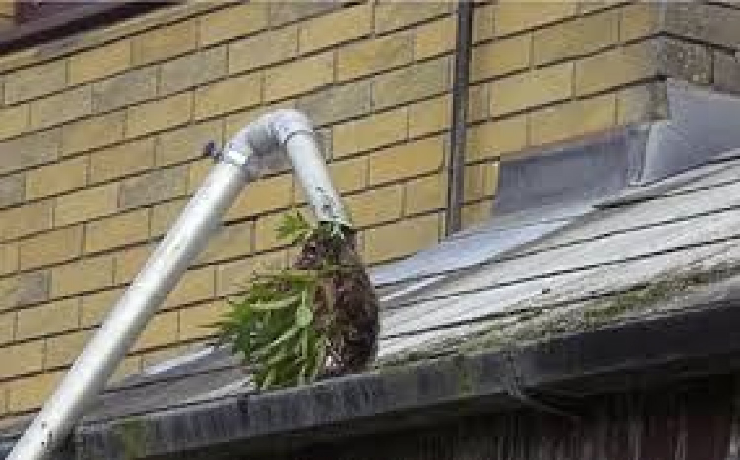 Gutter Cleaning Services London offer Reliable and Satisfactory Results Infographic