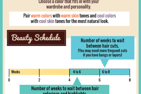 Hair Affair: The Business of Looking Fabulous Infographic