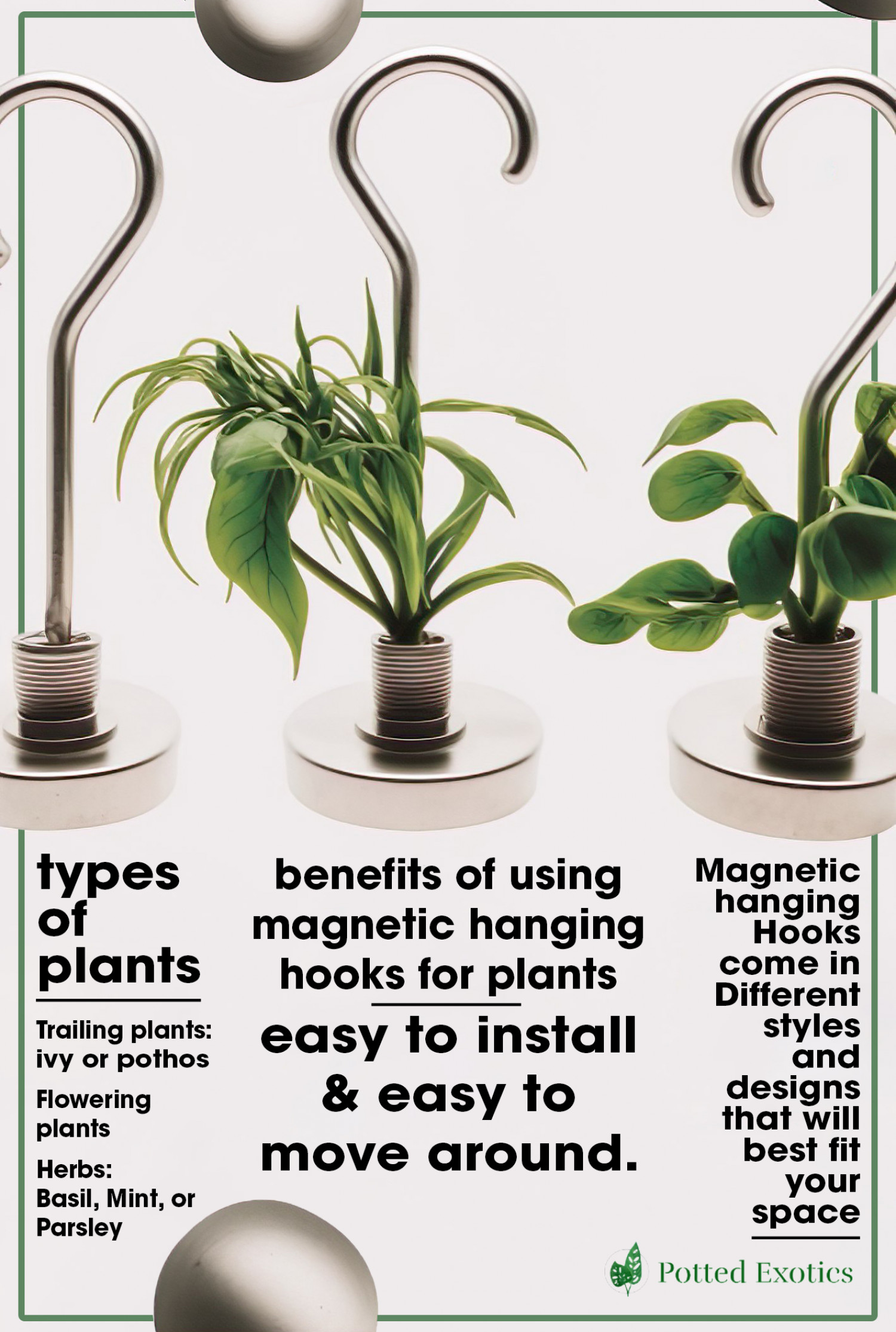 Hanging Hooks for plants Infographic