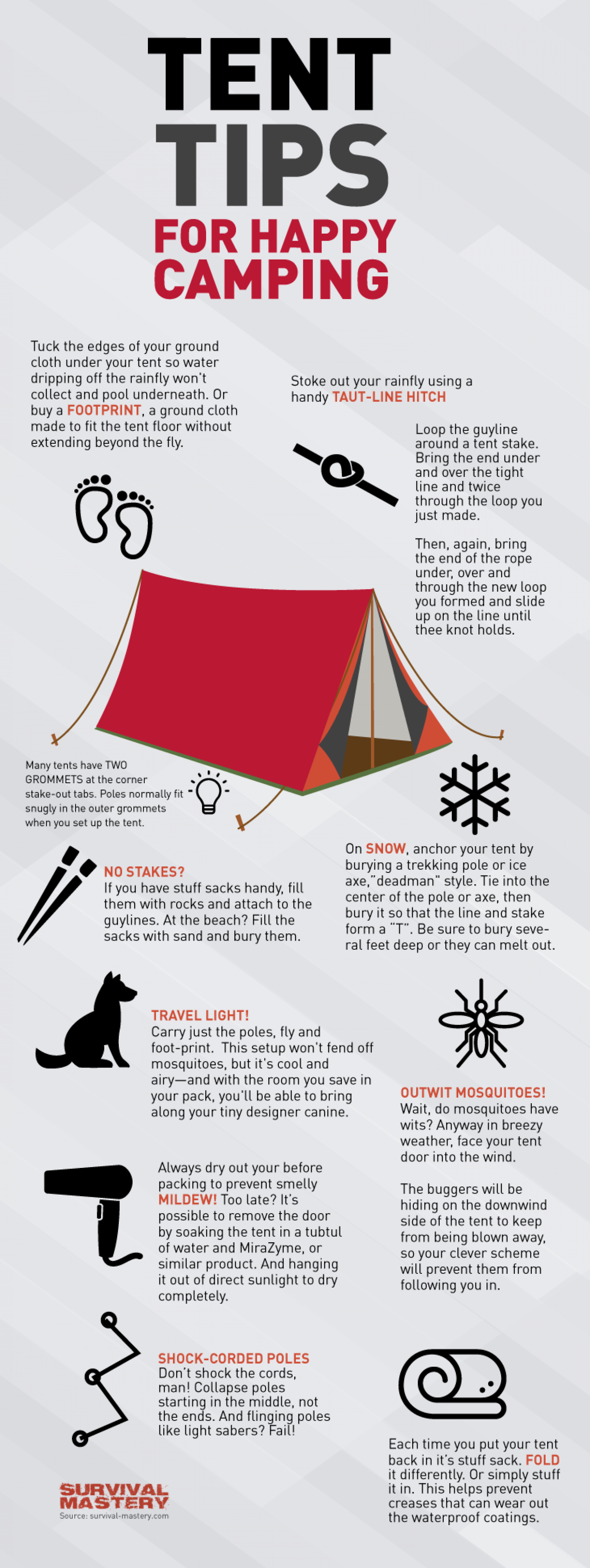 Happy Camping Infographic Infographic