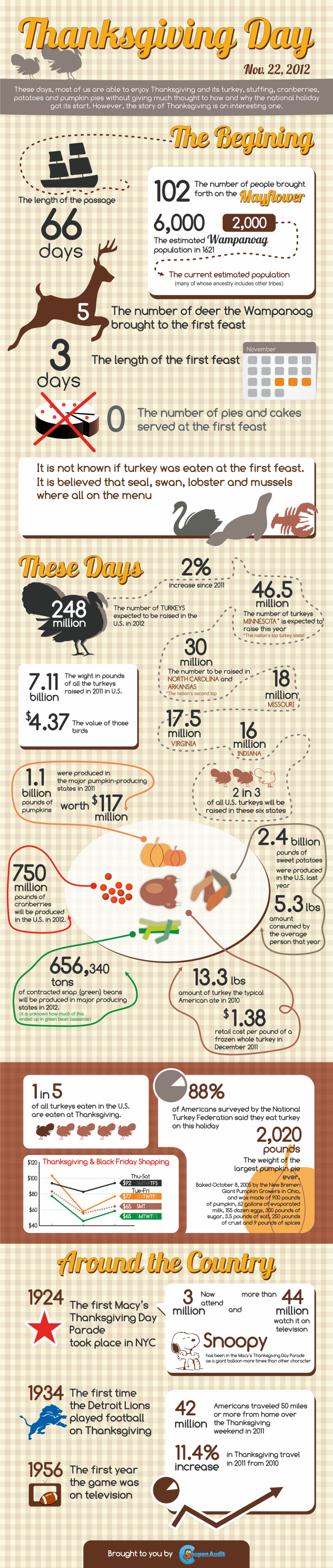 Happy Thanksgiving [Infographic] Infographic