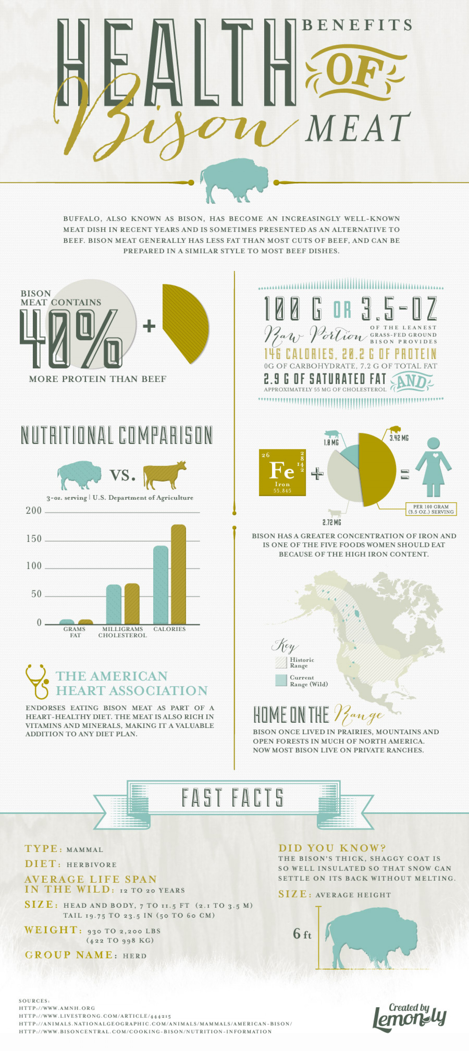 Health Benefits of Bison Meat Infographic