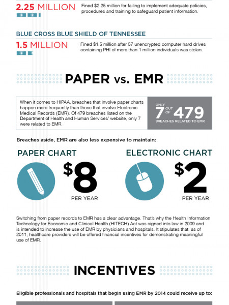 Healthcare IT: Keeping Data Safe  Infographic