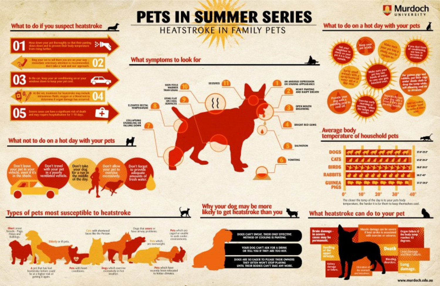 Heatstroke In Family Pets Infographic