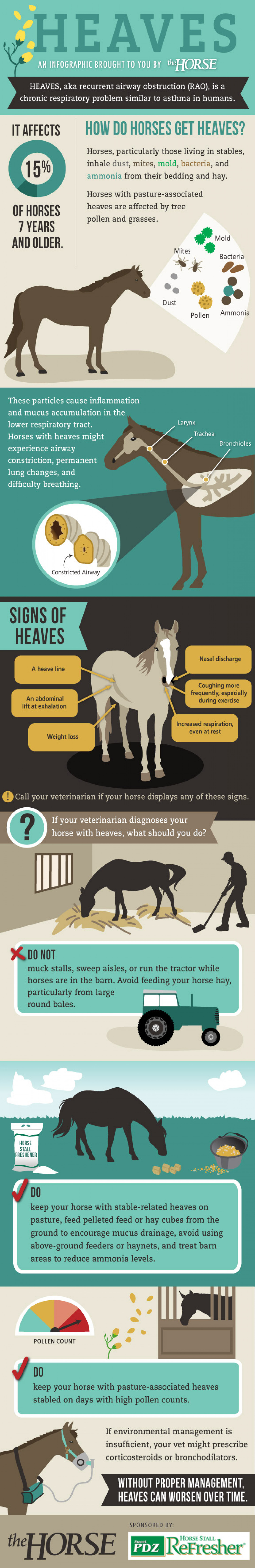 Heaves in Horses Infographic