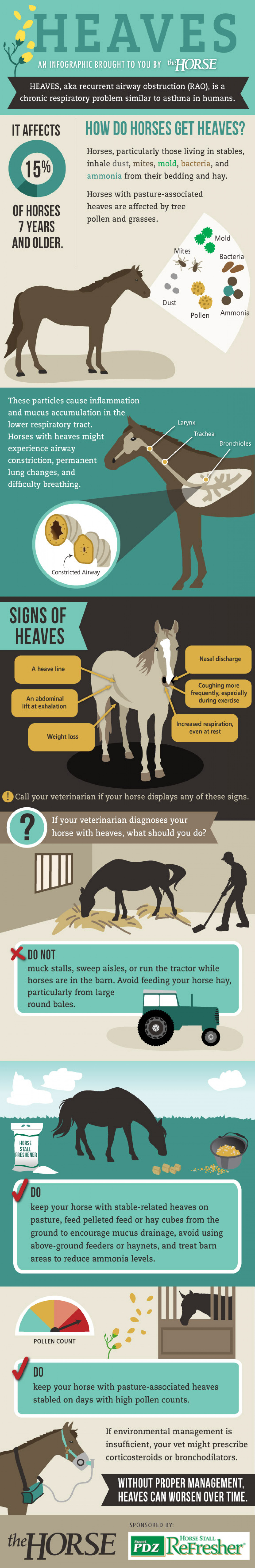 Infographic: Feeding Your Horse – The Horse