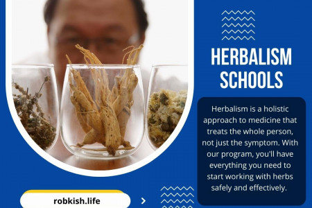 Herbalism Schools Infographic