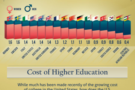 Higher Education Around The World  Infographic