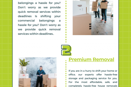 House Removals in Plymouth Infographic