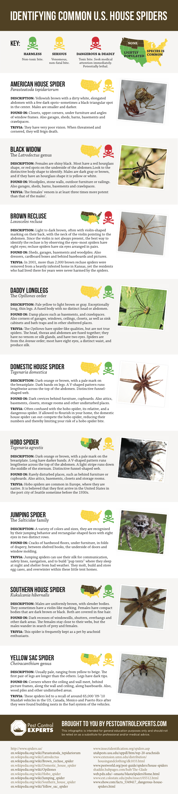 House Spider Identification Chart | Visual.ly