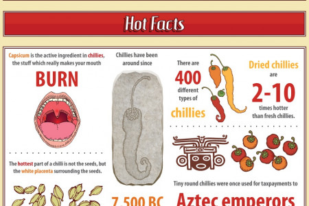 How A Chilli A Day Keeps The Doctor Away Infographic