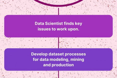 HOW DATA SCIENTISTS ADD VALUE TO BUSINESS Infographic