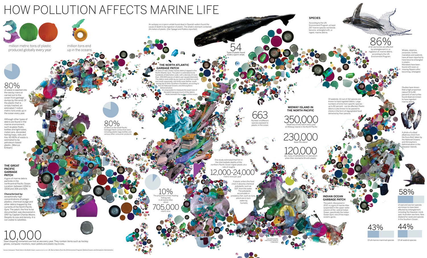 How Pollution Affects Marine Life Infographic