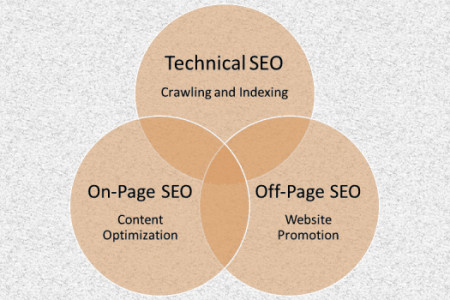 How Search Engine Optimization Is Important For Business Infographic