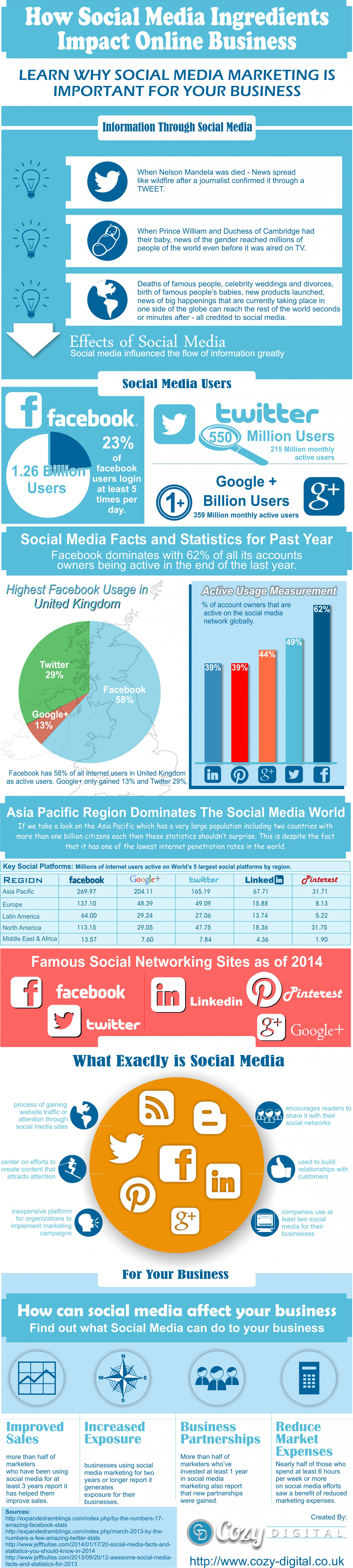 How Social Media Ingredients Impact Online Business Infographic