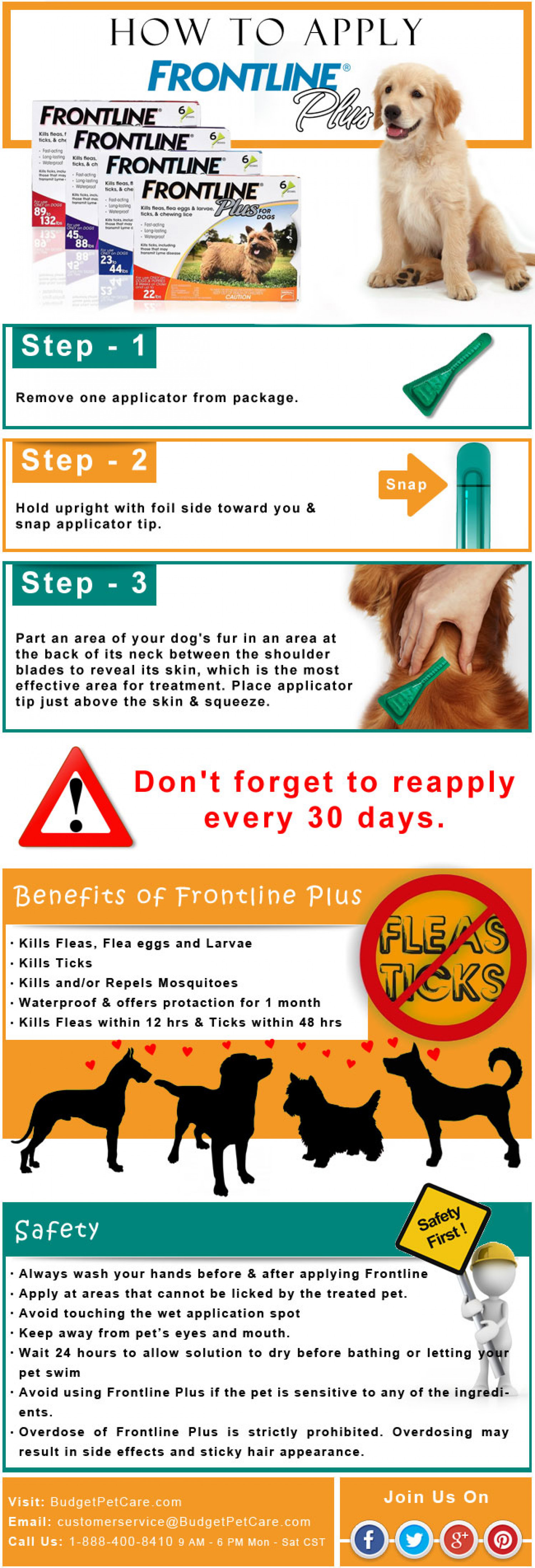 How to Apply Frontline Plus on Dogs Infographic