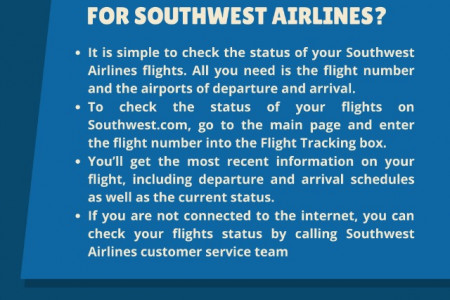 How to check flight status Southwest? Infographic