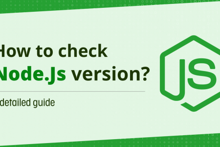 How to check Node.js version? Infographic