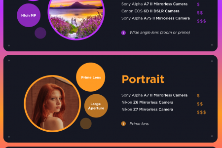 How to choose the best camera for your style Infographic