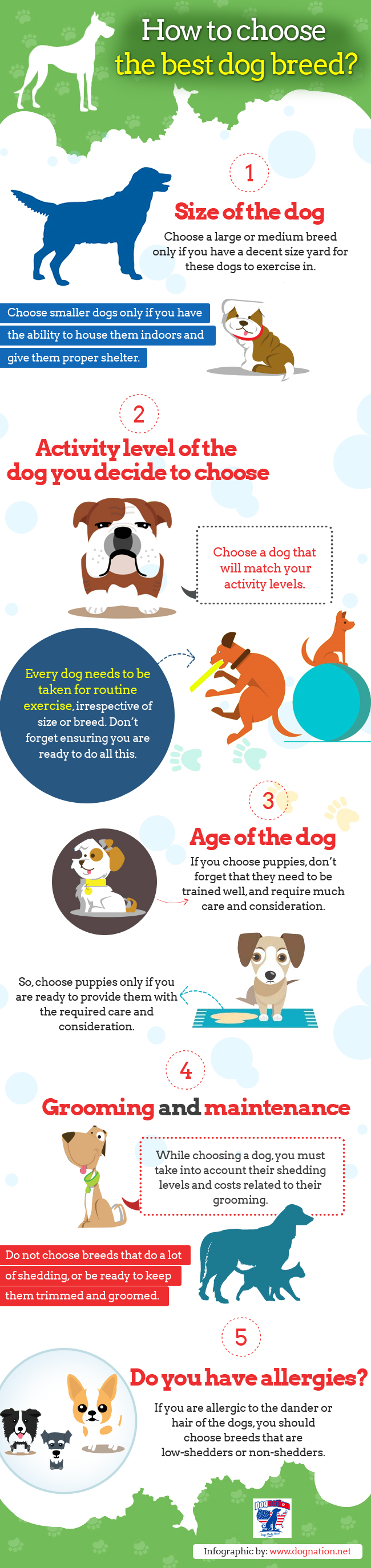 How to choose the best dog breed? | Visual.ly