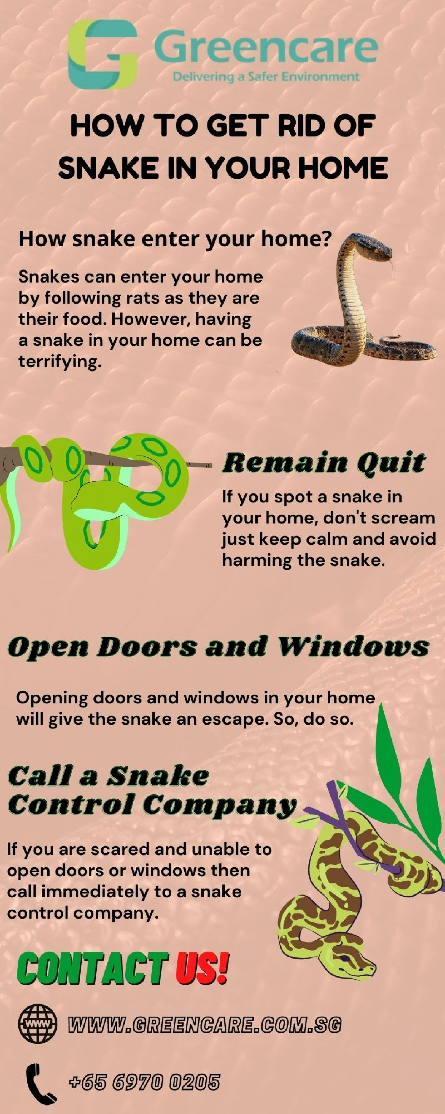 How to get rid of snake in your home Infographic