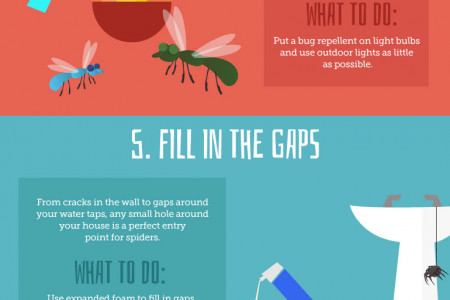 How to Get Rid of Spiders in Your Home  Infographic