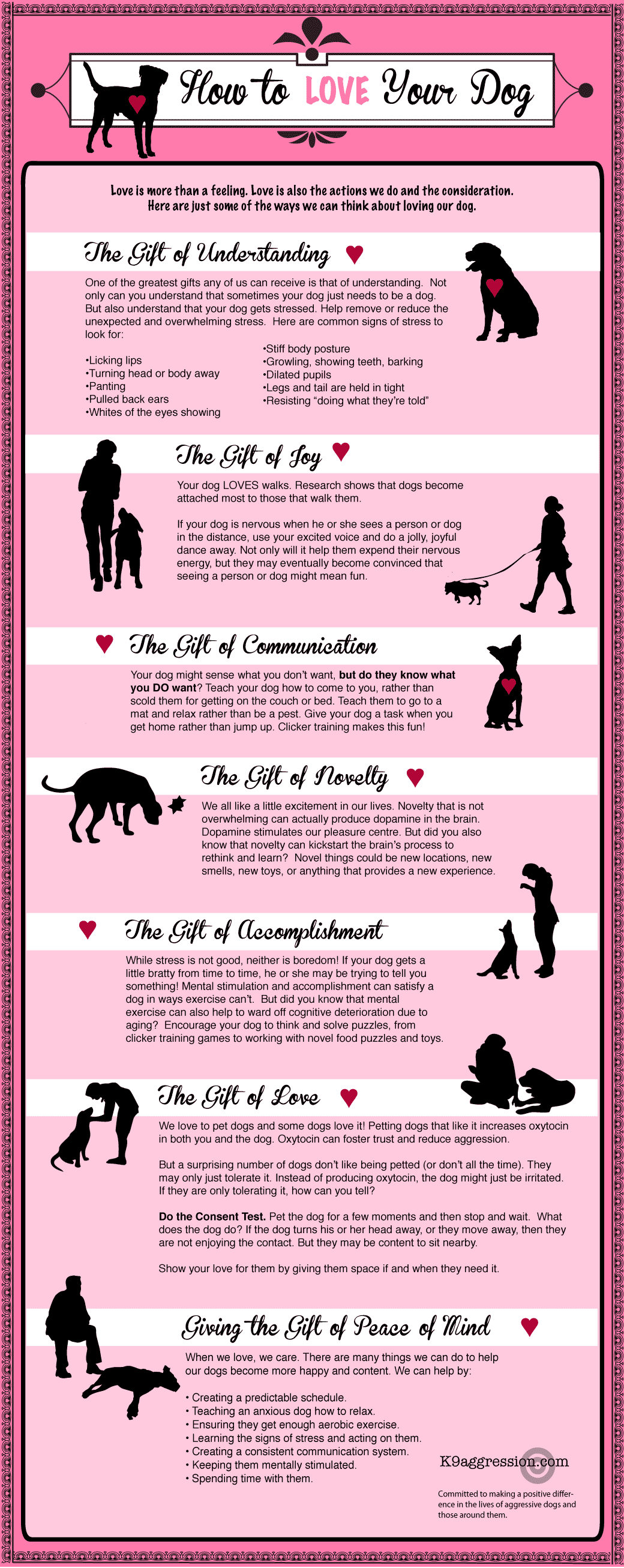 How to Love Your Dog Infographic