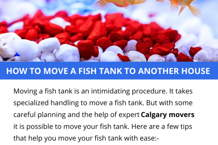 HOW TO MOVE A FISH TANK TO ANOTHER HOUSE Infographic