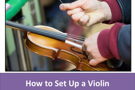 How to Set Up a Violin Infographic