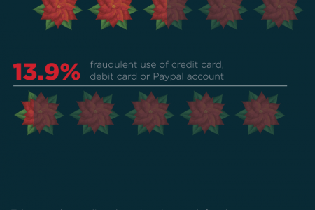 How to Shop Safely Online This Holiday Season Infographic