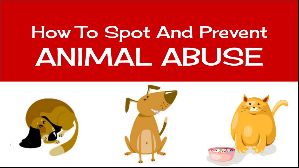 help stop animal abuse