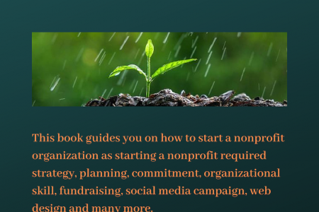 How to Start a Nonprofit | Nonprofit Organizations - Bare Philanthropy Infographic