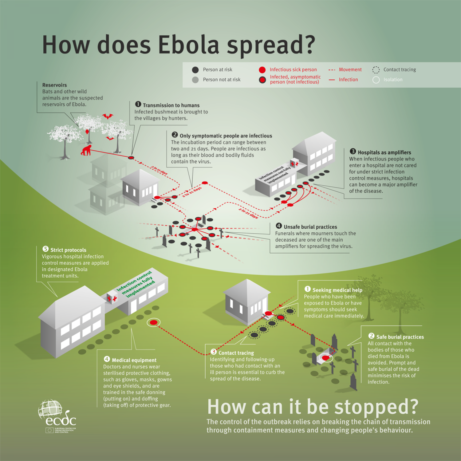 How to stop Ebola virus disease from spreading Infographic