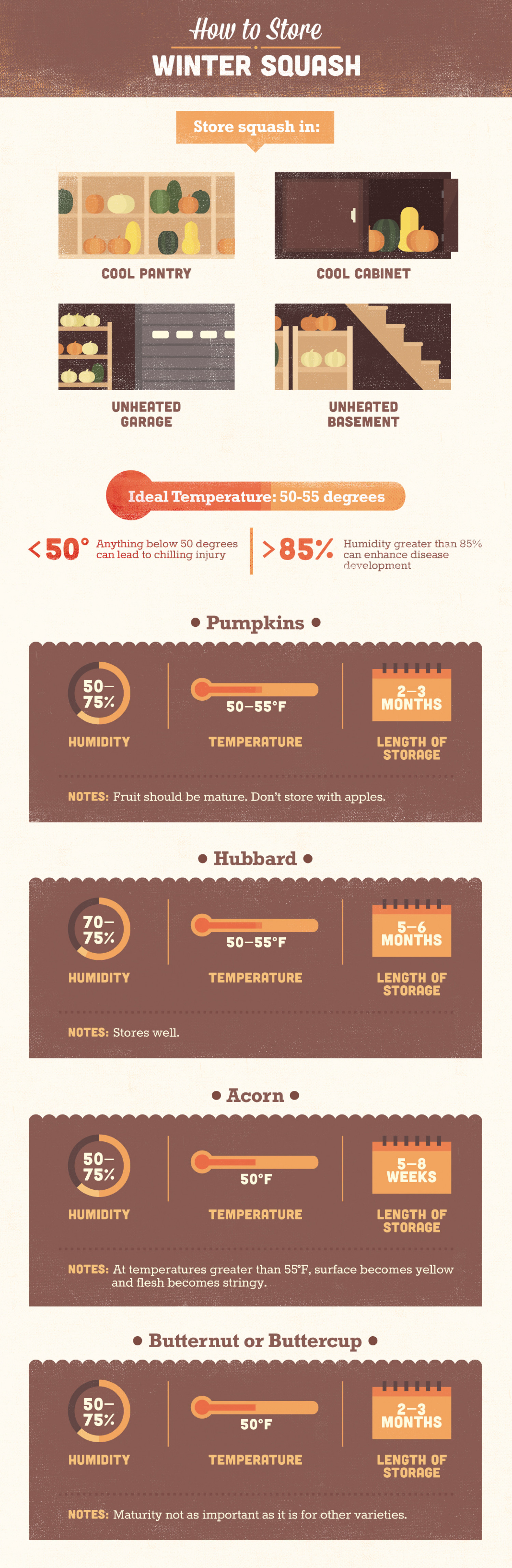 How to Store Winter Squash Infographic