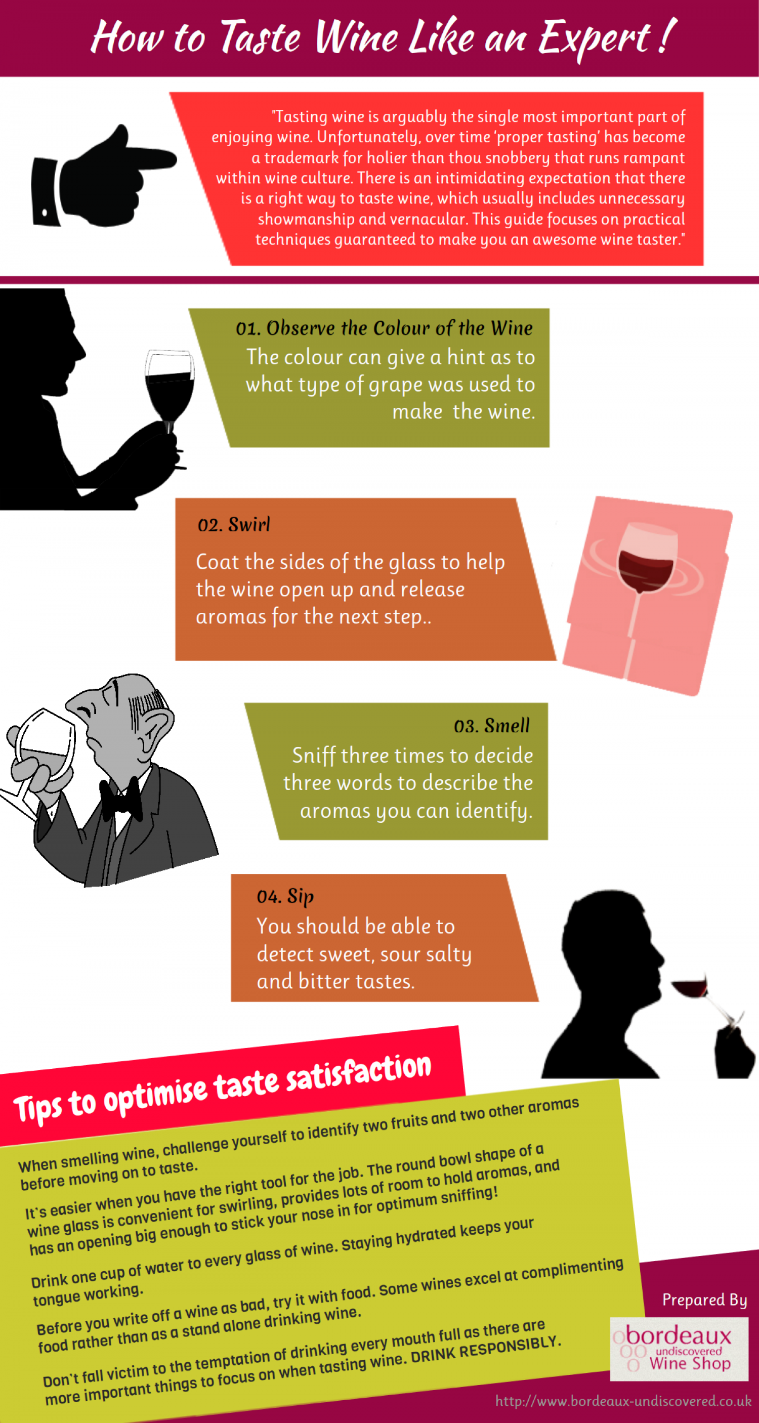 How to Taste Wine Like an Expert Infographic