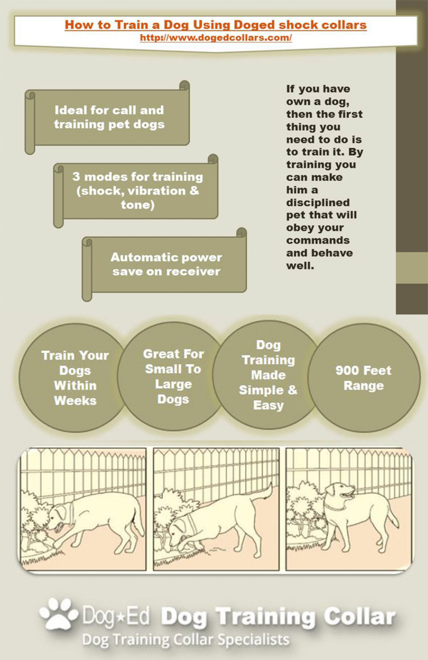 How to use dog training collars Infographic