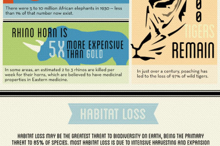 How We're Endangering Animals Infographic