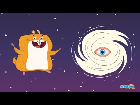 Hurricane Facts For Kids Visual Ly