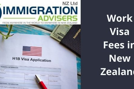 IANZ | Work Visa Fees Infographic