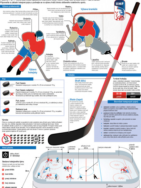 Ice hockey world  championship 2015 Infographic