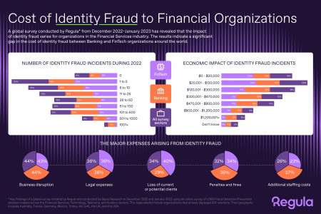  Identity Fraud Statistics Infographic