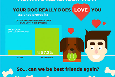 I'm a Dog. I Hate Hugs. Get Over it. Infographic