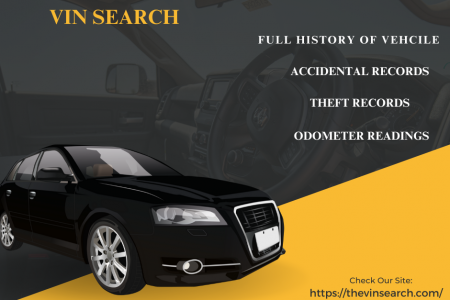 Importance of VIN Search Infographic